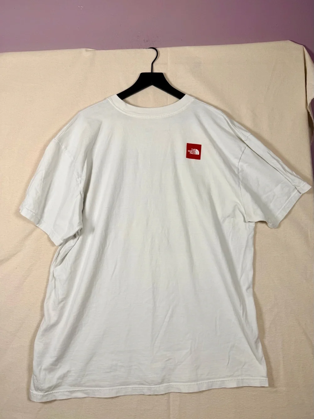 The North Face White Tee with Blue Mountain Graphic